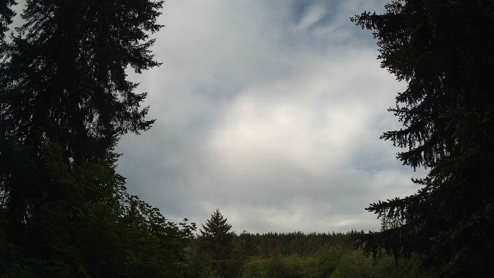 Pacific Northwest skyline timelapse on May 25, 2026 at 8:30 AM
