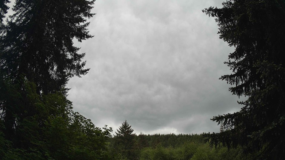 Pacific Northwest skyline timelapse on May 25, 2026 at 11:15 AM