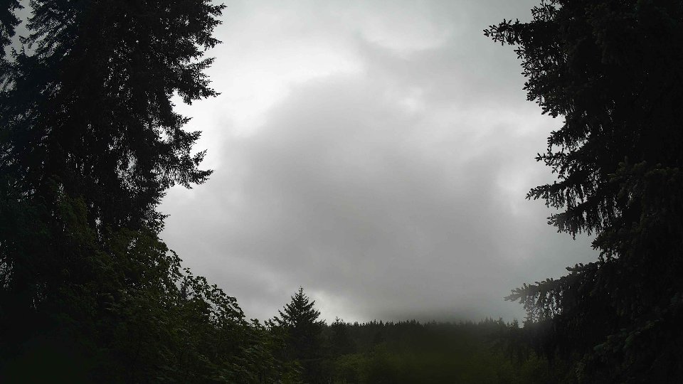 Pacific Northwest skyline timelapse frame from May 29th, 2026 at 8:00 AM
