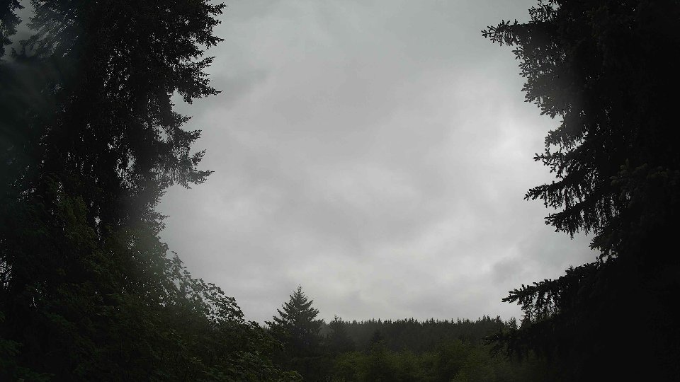 Pacific Northwest skyline timelapse frame from May 29th, 2026 at 8:30 AM