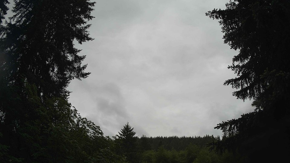 Pacific Northwest skyline timelapse frame from May 29th, 2026 at 9:00 AM