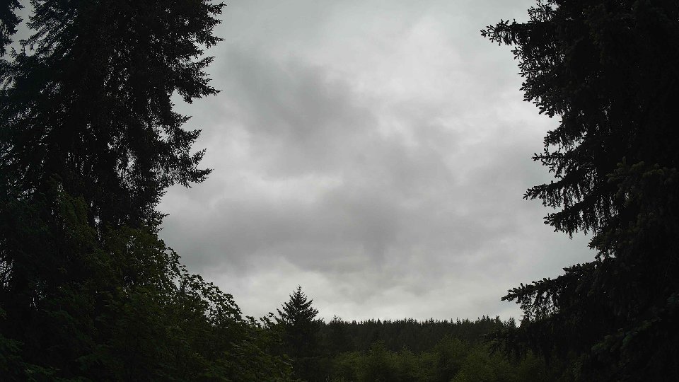 Pacific Northwest skyline timelapse frame from May 29th, 2026 at 9:30 AM