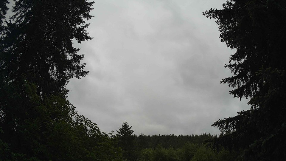 Pacific Northwest skyline timelapse frame from May 29th, 2026 at 10:00 AM