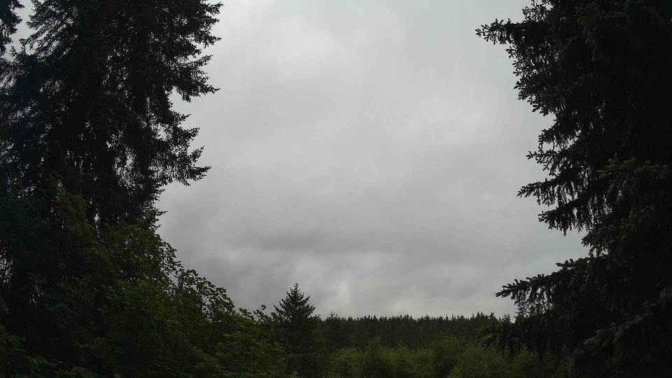 Pacific Northwest skyline timelapse frame from May 29th, 2026 at 10:15 AM