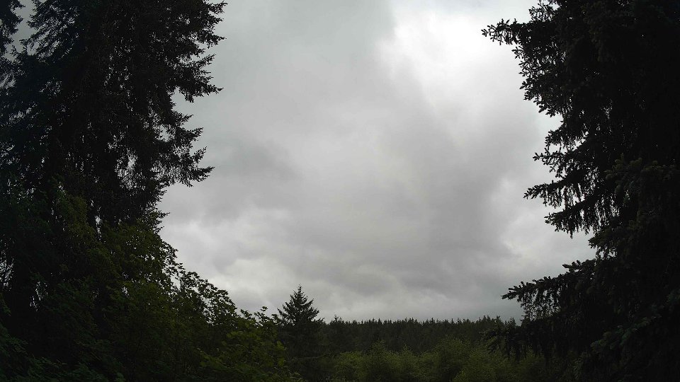 Pacific Northwest skyline timelapse frame from May 29th, 2026 at 10:45 AM