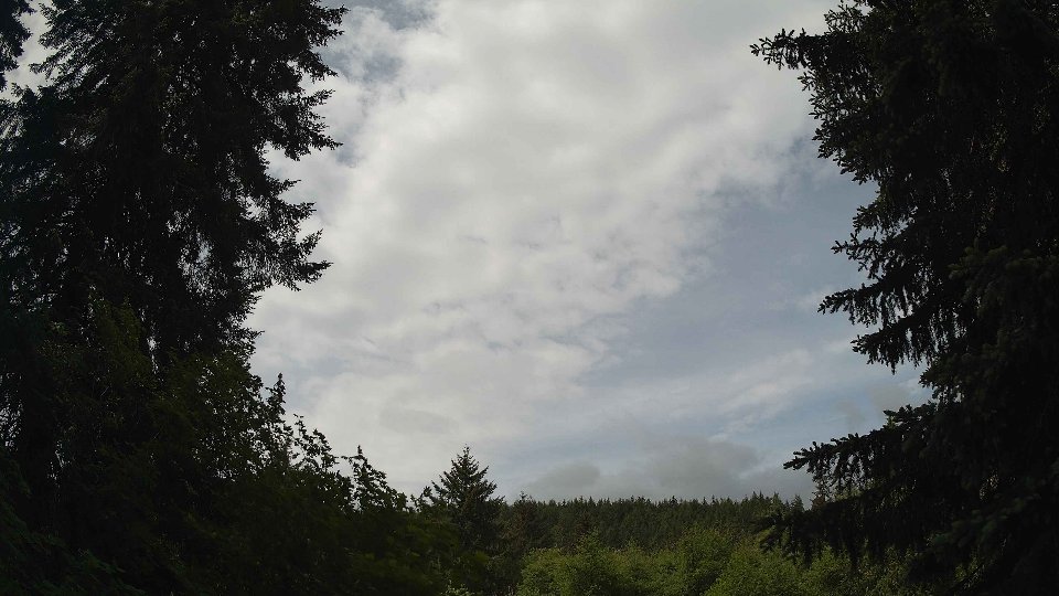 Pacific Northwest skyline timelapse frame from May 29th, 2026 at 11:00 AM