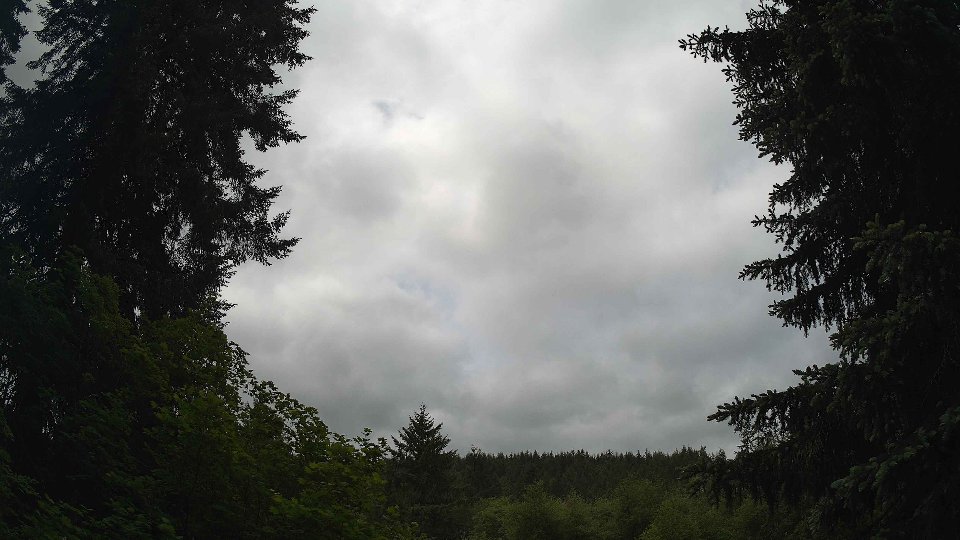 Pacific Northwest skyline timelapse frame from May 29th, 2026 at 11:15 AM