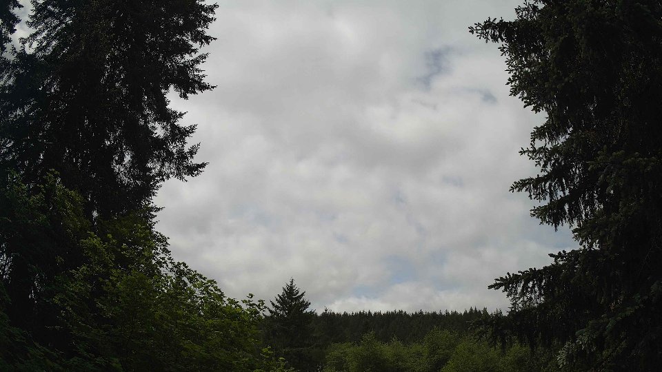 Pacific Northwest skyline timelapse frame from May 29th, 2026 at 11:30 AM