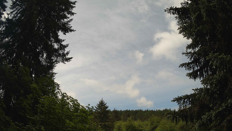 Pacific Northwest skyline timelapse frame from May 29th, 2026 at 11:45 AM