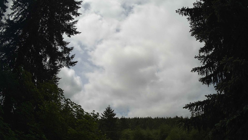 Pacific Northwest skyline timelapse frame from May 29th, 2026 at 12:00 PM