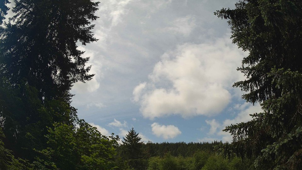 Pacific Northwest skyline timelapse frame from May 29th, 2026 at 12:15 PM