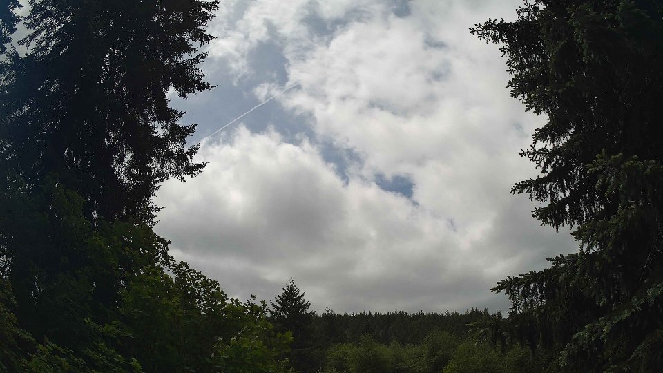 Pacific Northwest skyline timelapse frame from May 29th, 2026 at 12:30 PM