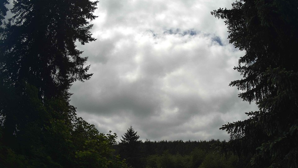 Pacific Northwest skyline timelapse frame from May 29th, 2026 at 1:30 PM