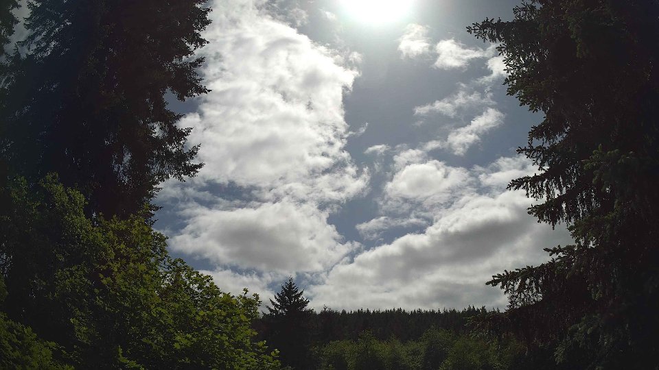 Pacific Northwest skyline timelapse frame from May 29th, 2026 at 3:15 PM