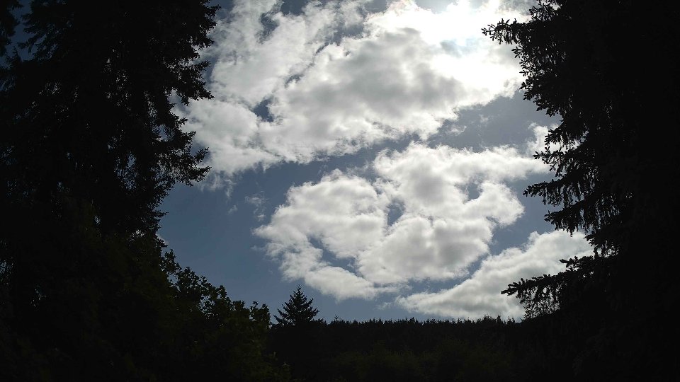 Pacific Northwest skyline timelapse frame from May 29th, 2026 at 4:00 PM