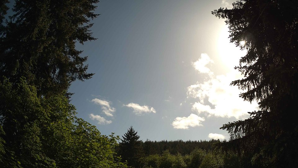 Pacific Northwest skyline timelapse frame from May 29th, 2026 at 5:00 PM