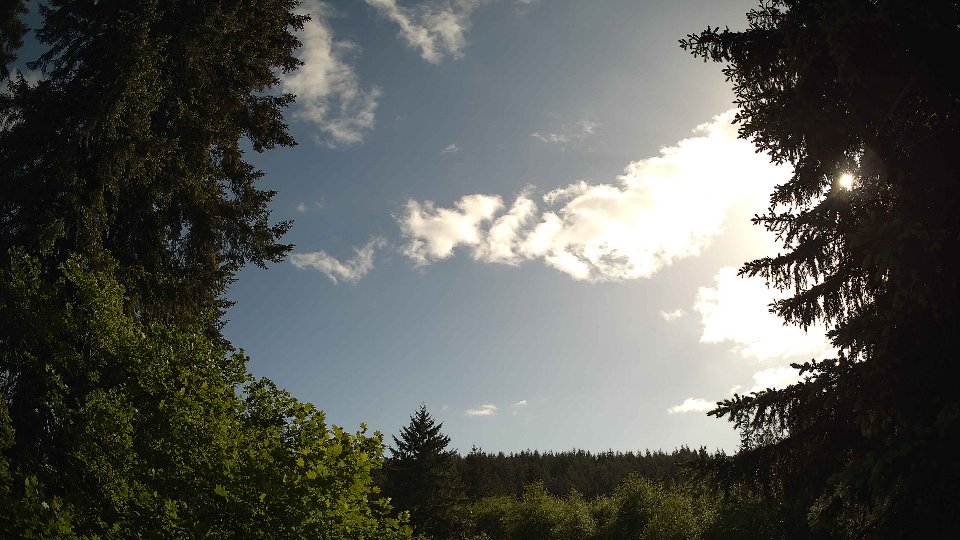Pacific Northwest skyline timelapse frame from May 29th, 2026 at 5:30 PM