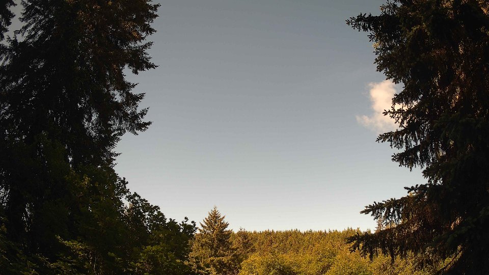 Pacific Northwest skyline timelapse frame from May 30th, 2026 at 9:30 AM