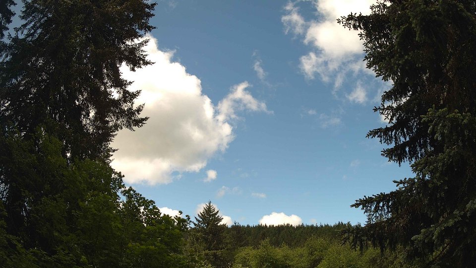 Pacific Northwest skyline timelapse frame from May 30th, 2026 at 10:30 AM