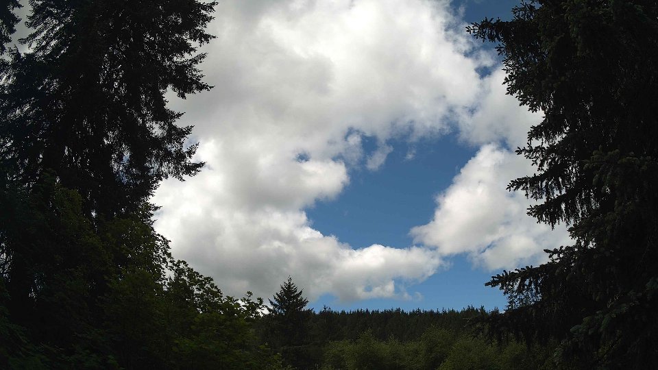 Pacific Northwest skyline timelapse frame from May 30th, 2026 at 11:15 AM