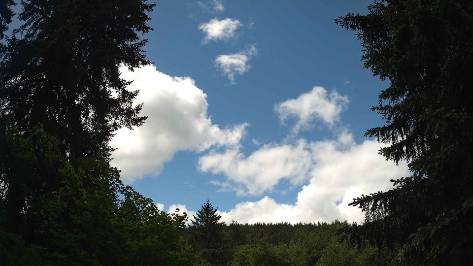 Pacific Northwest skyline timelapse frame from May 30th, 2026 at 11:30 AM