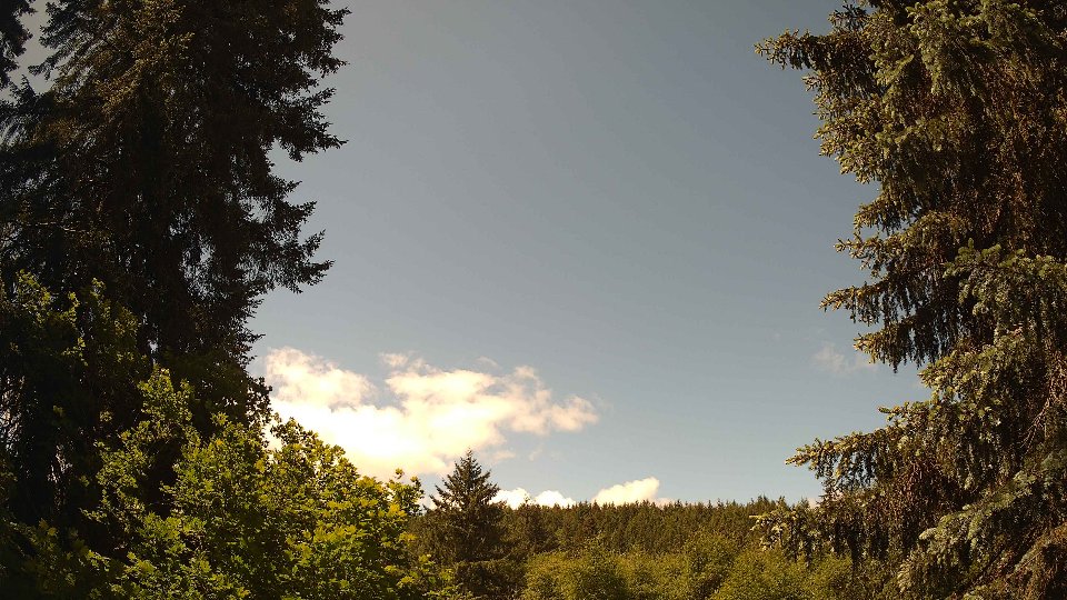 Pacific Northwest skyline timelapse frame from May 30th, 2026 at 11:45 AM