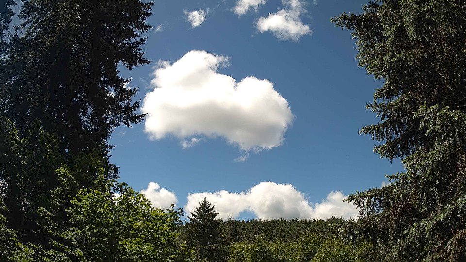 Pacific Northwest skyline timelapse frame from May 30th, 2026 at 12:00 PM