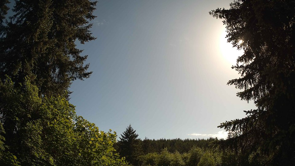 Pacific Northwest skyline timelapse frame from May 30th, 2026 at 5:00 PM