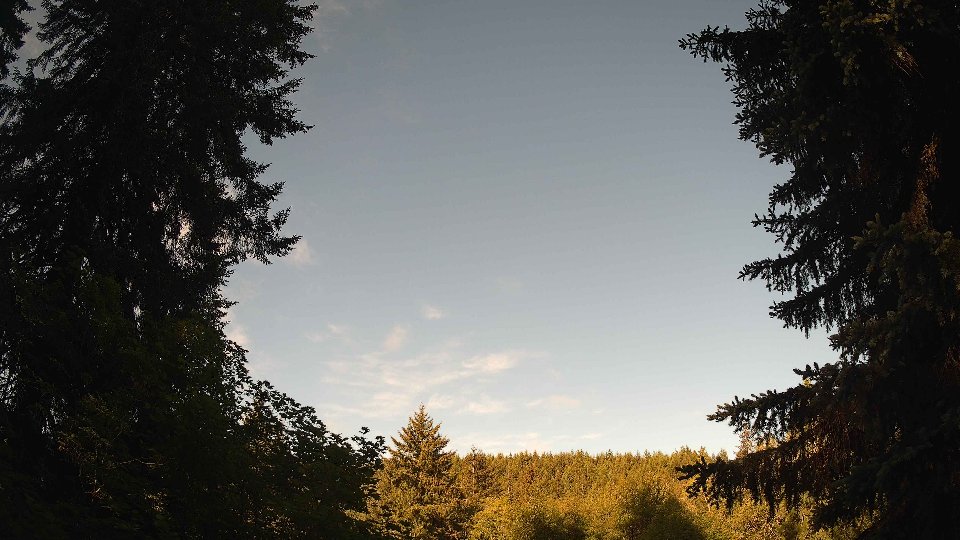 Pacific Northwest skyline timelapse frame from May 31st, 2026 at 8:00 AM