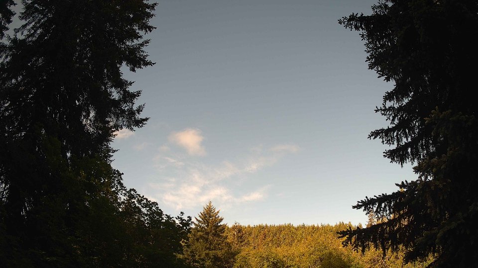 Pacific Northwest skyline timelapse frame from May 31st, 2026 at 8:15 AM