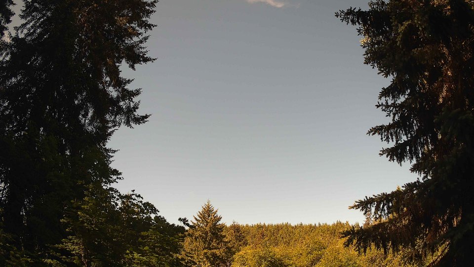 Pacific Northwest skyline timelapse frame from May 31st, 2026 at 9:30 AM