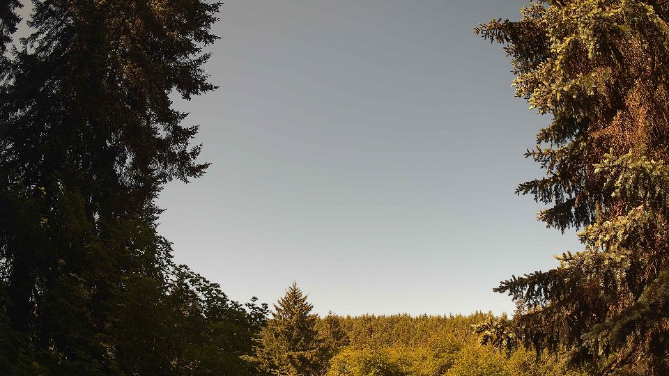 Pacific Northwest skyline timelapse frame from May 31st, 2026 at 10:00 AM