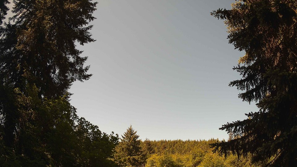 Pacific Northwest skyline timelapse frame from May 31st, 2026 at 11:00 AM