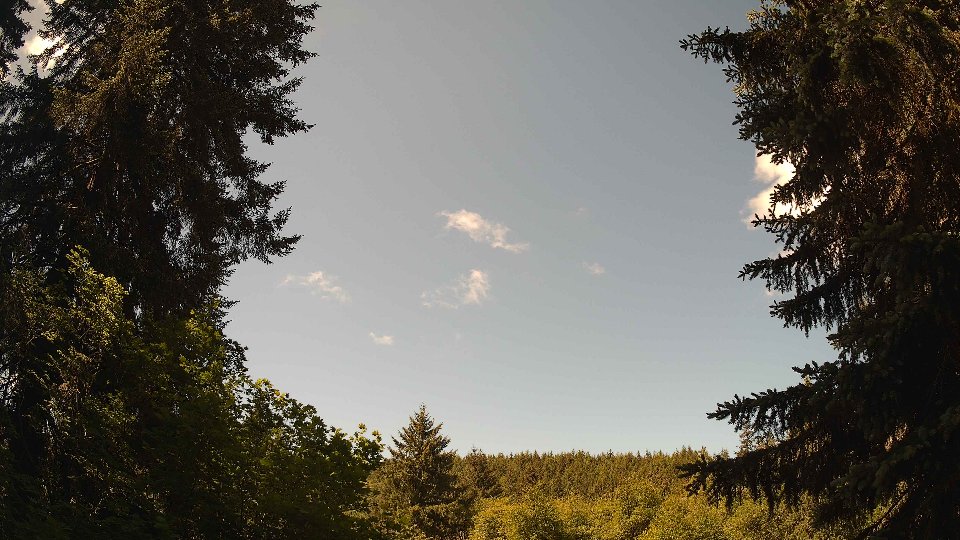 Pacific Northwest skyline timelapse frame from May 31st, 2026 at 11:15 AM