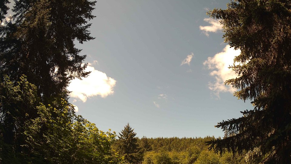 Pacific Northwest skyline timelapse frame from May 31st, 2026 at 11:30 AM