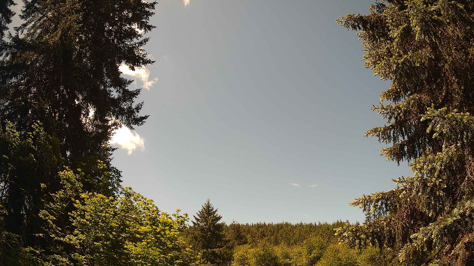 Pacific Northwest skyline timelapse frame from May 31st, 2026 at 11:45 AM
