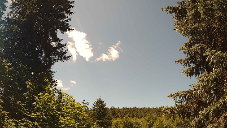 Pacific Northwest skyline timelapse frame from May 31st, 2026 at 12:00 PM