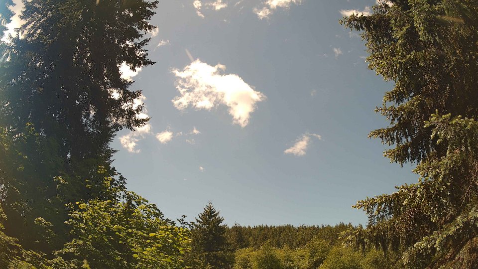 Pacific Northwest skyline timelapse frame from May 31st, 2026 at 12:15 PM