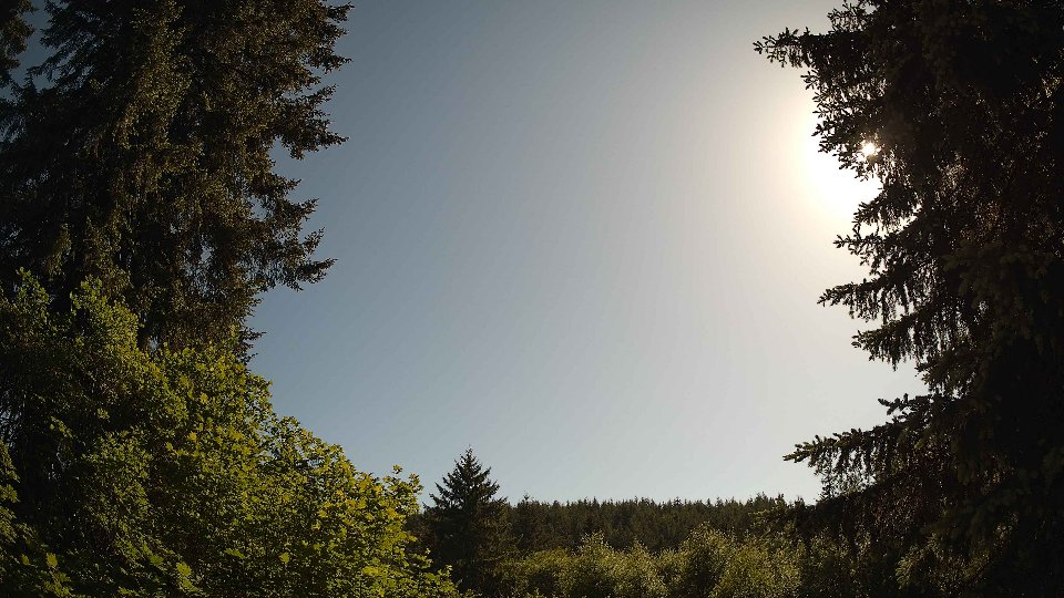 Pacific Northwest skyline timelapse frame from May 31st, 2026 at 5:00 PM