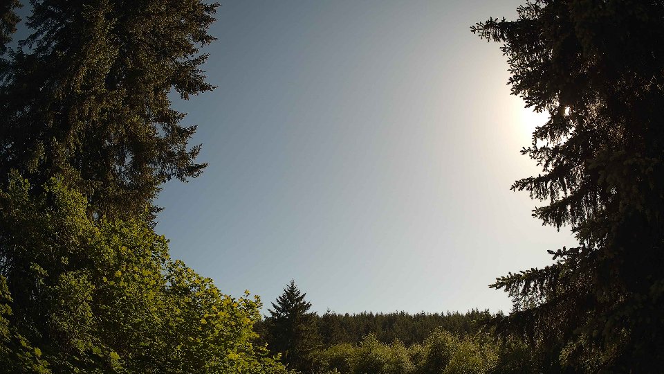 Pacific Northwest skyline timelapse frame from May 31st, 2026 at 5:15 PM