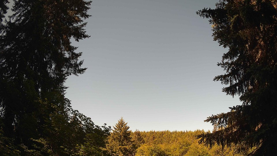Pacific Northwest skyline timelapse on Jun 01, 2026 at 9:30 AM