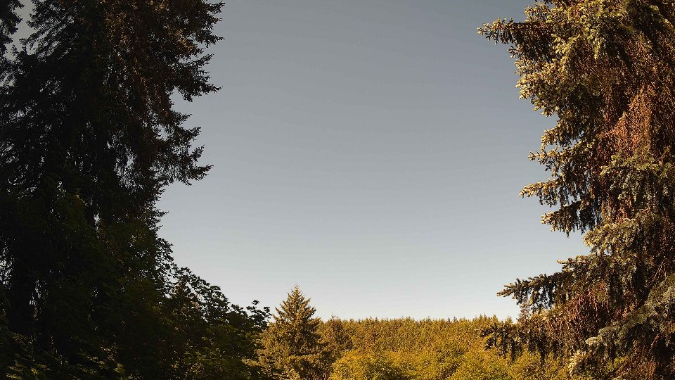 Pacific Northwest skyline timelapse on Jun 01, 2026 at 9:45 AM