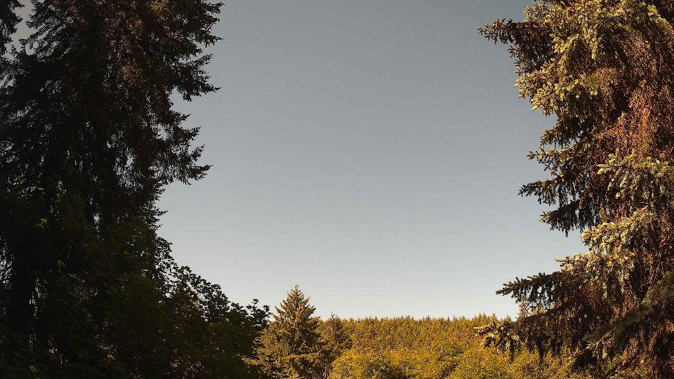 Pacific Northwest skyline timelapse on Jun 01, 2026 at 10:00 AM