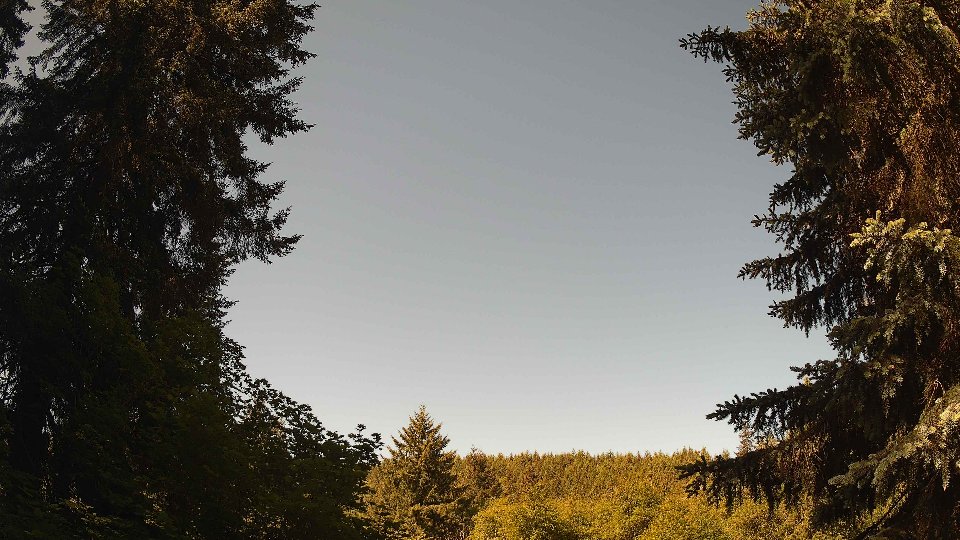 Pacific Northwest skyline timelapse on Jun 01, 2026 at 10:15 AM