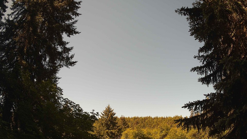 Pacific Northwest skyline timelapse on Jun 01, 2026 at 10:45 AM