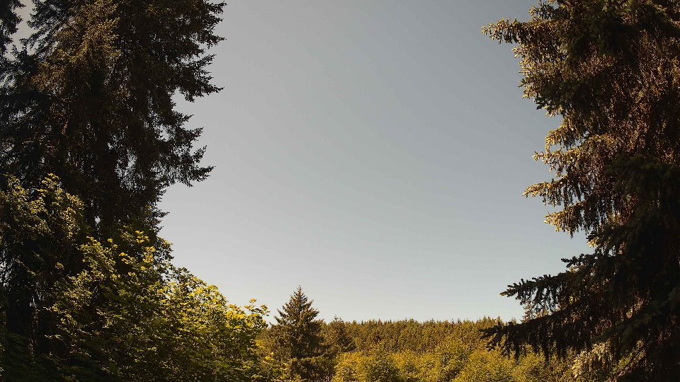 Pacific Northwest skyline timelapse on Jun 01, 2026 at 11:30 AM