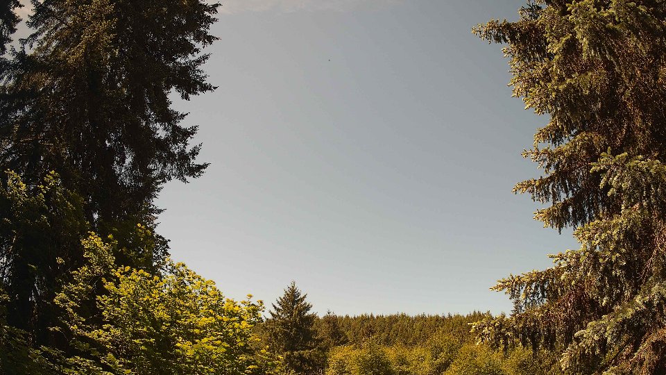 Pacific Northwest skyline timelapse on Jun 01, 2026 at 11:45 AM