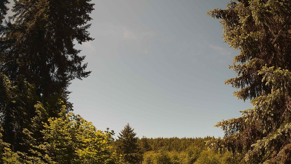 Pacific Northwest skyline timelapse on Jun 01, 2026 at 12:00 PM