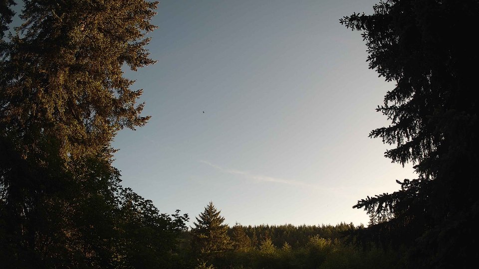 Pacific Northwest skyline timelapse on Jun 01, 2026 at 7:30 PM