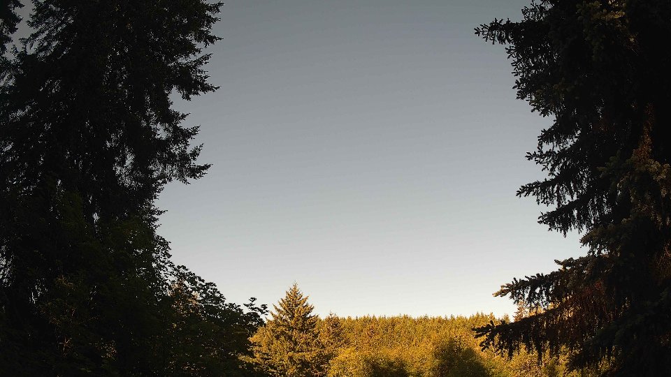 Pacific Northwest skyline timelapse on Jun 02, 2026 at 8:00 AM